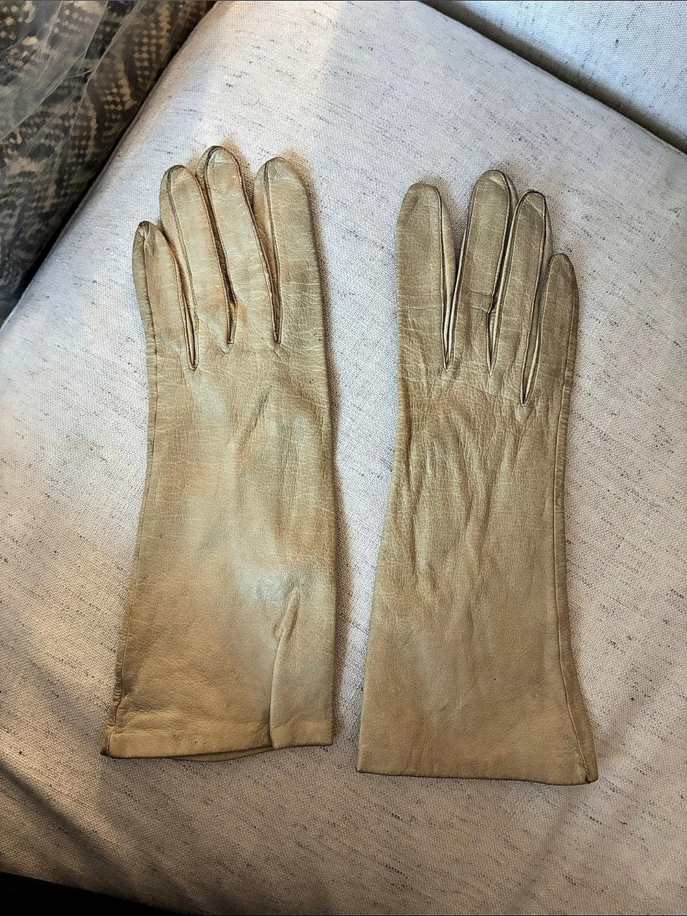 Women's Leather Gloves in Off White
